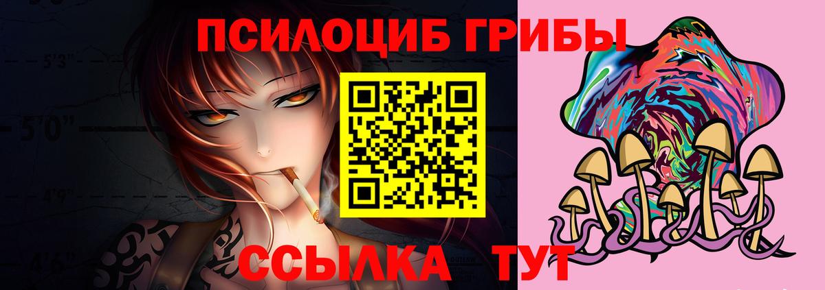 Псилоцибиновые грибы мицелий  Вход с VPN  Каменск-Шахтинский 